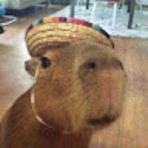 Meet your Posher, Ryan pindar